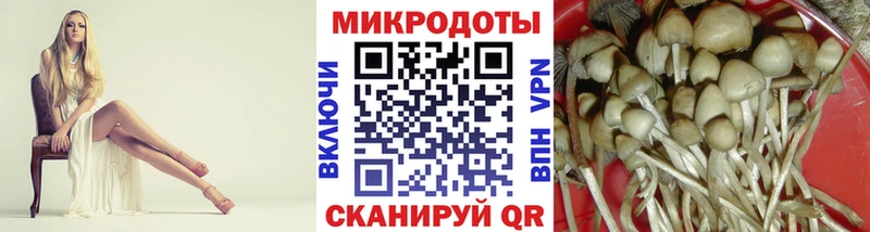 Псилоцибиновые грибы Cubensis  Купить закладки  Усолье 